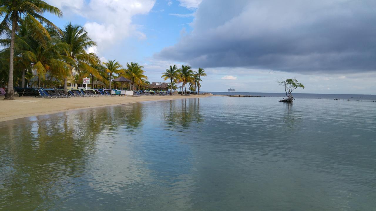 Las Palmas Beach Hotel Dixon Cove Exterior foto